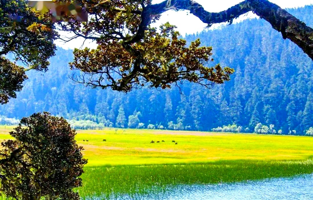 Pudacuo National Park: Shangri-La's Alpine Paradise