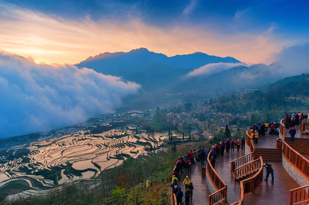 Stay in a Mushroom House