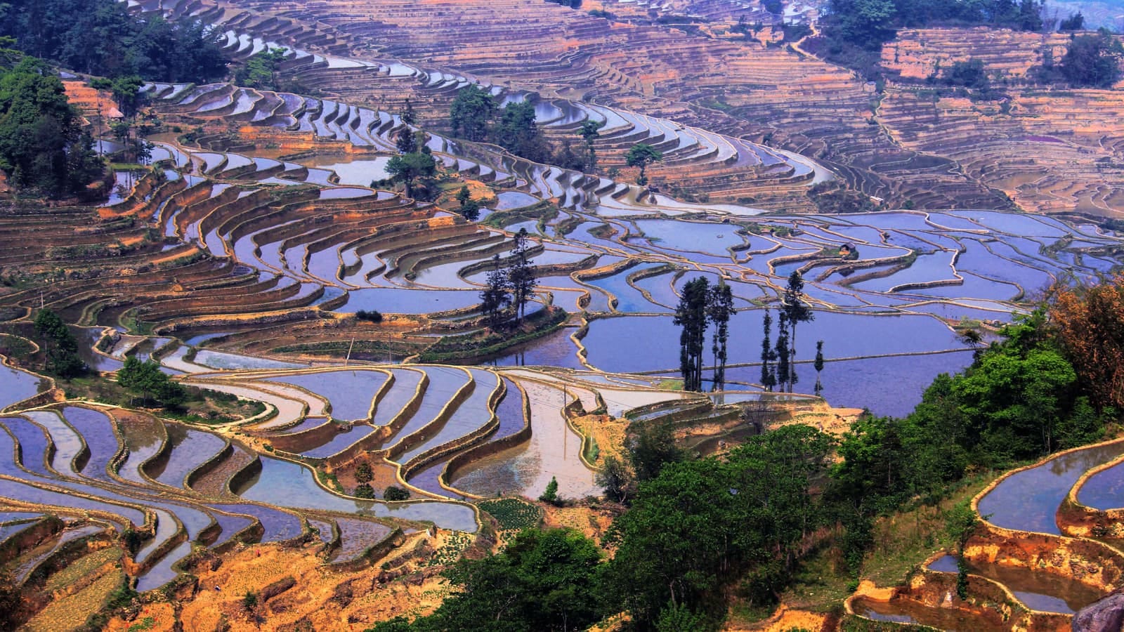 Yuanyang Rice Terraces