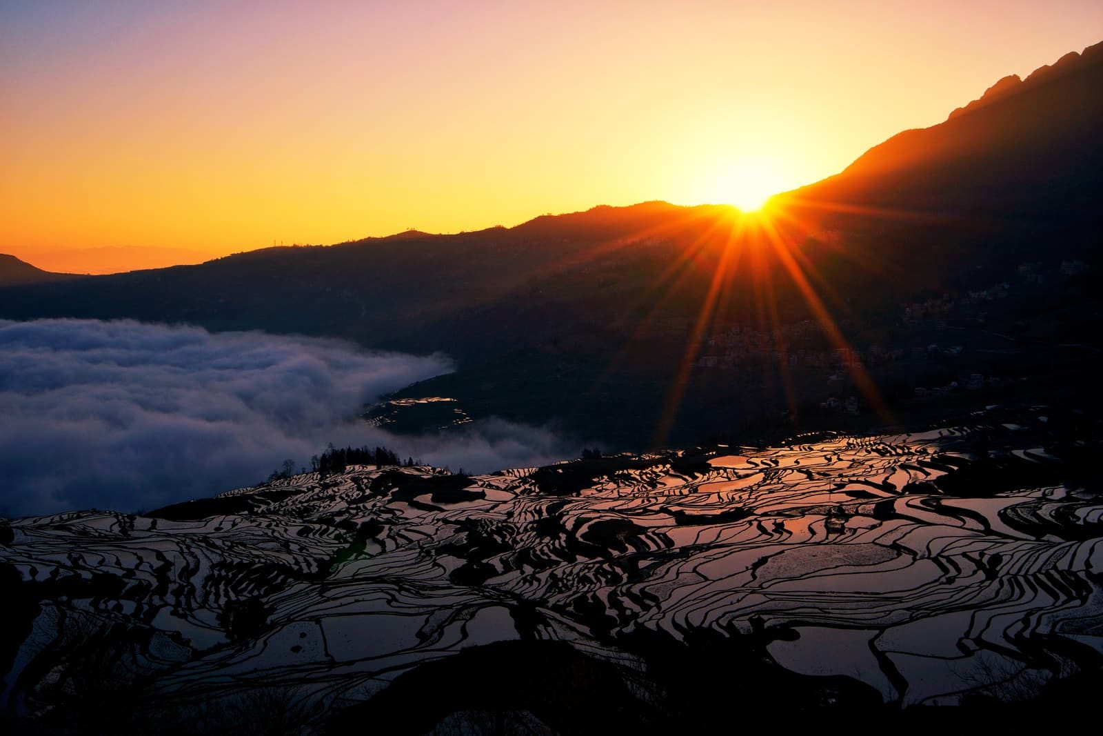 Yuanyang Rice Terraces