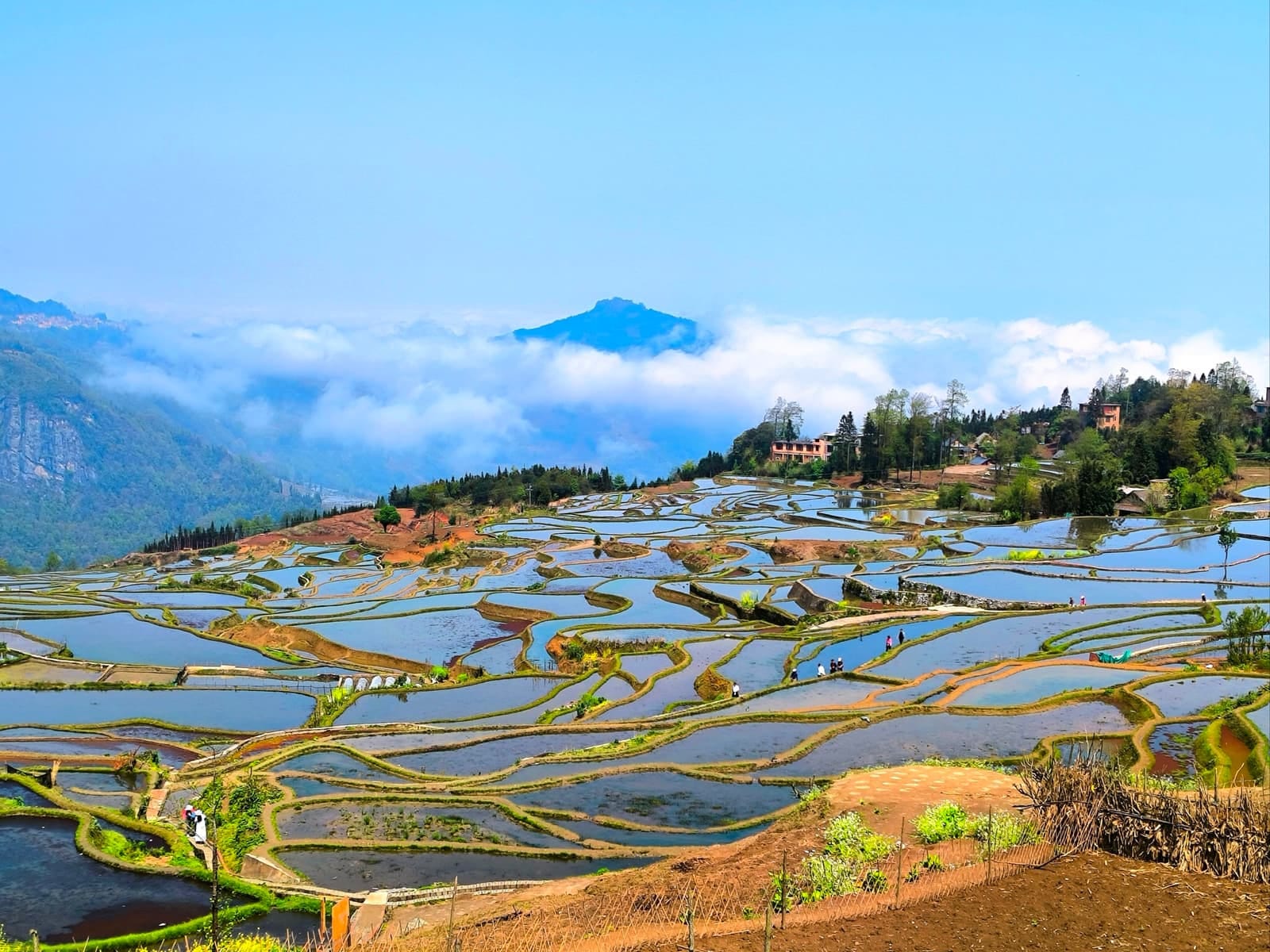 Yuanyang Rice Terraces