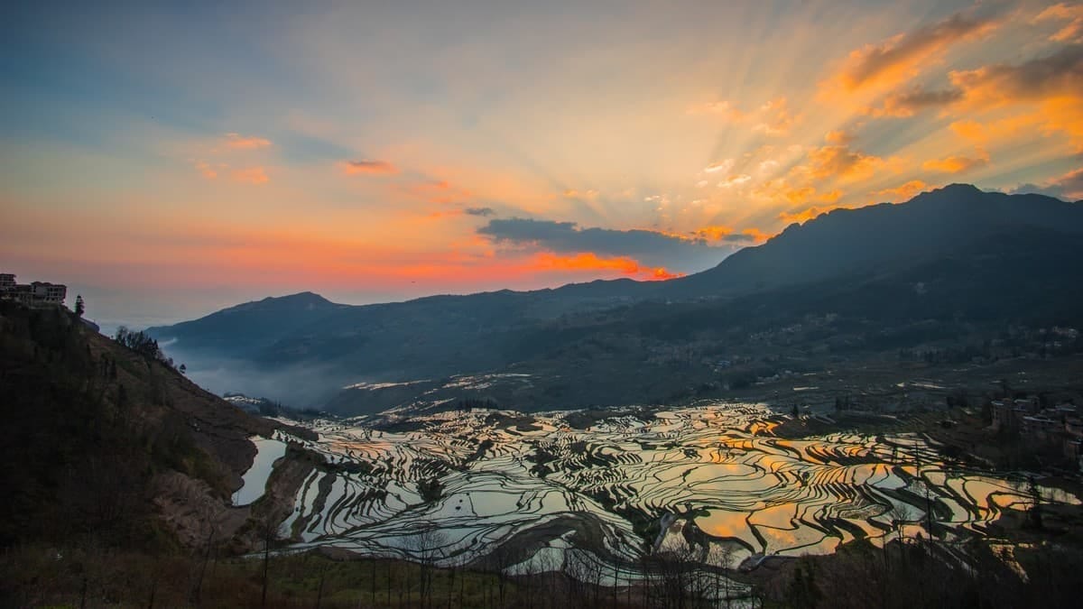 Yuanyang Rice Terraces