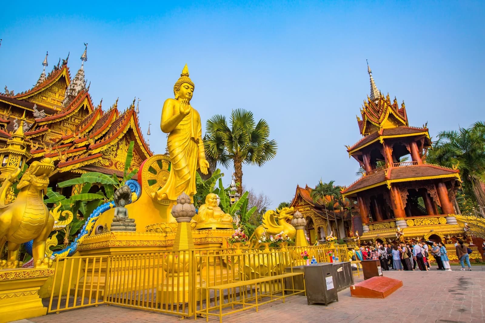 Tropical Botanical Garden (13,000+ species)