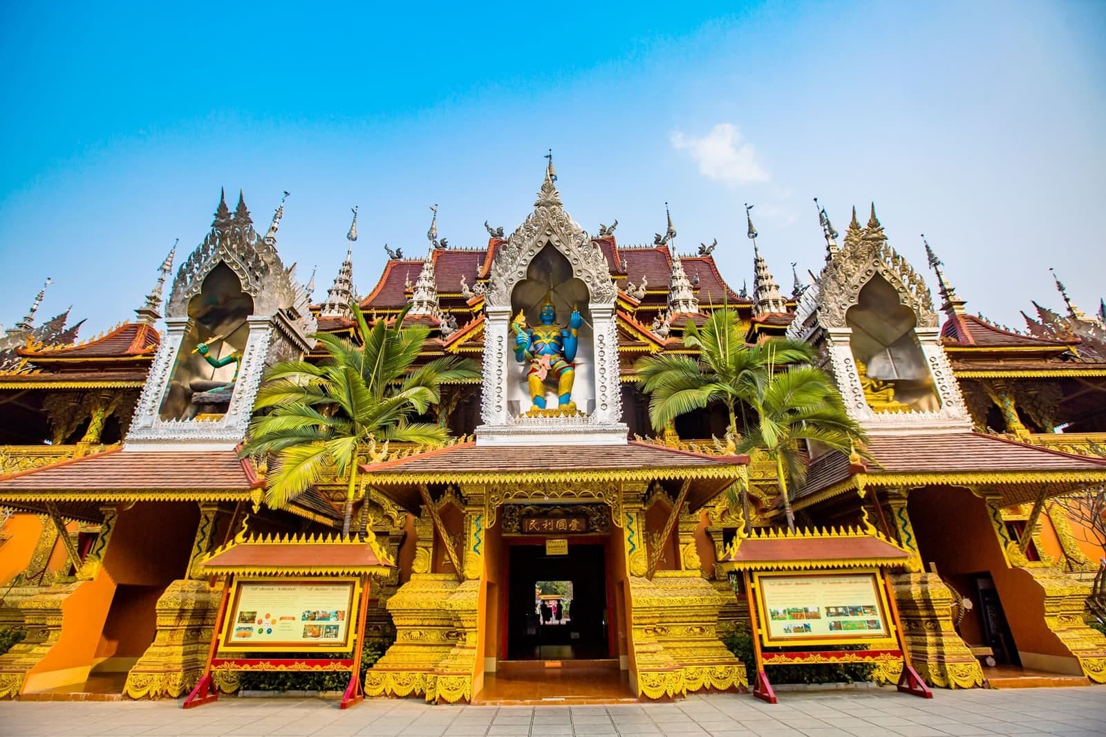 Wild Elephant Valley & Asian elephants