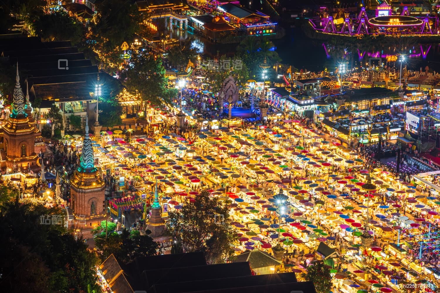 Rainforest canopy walks