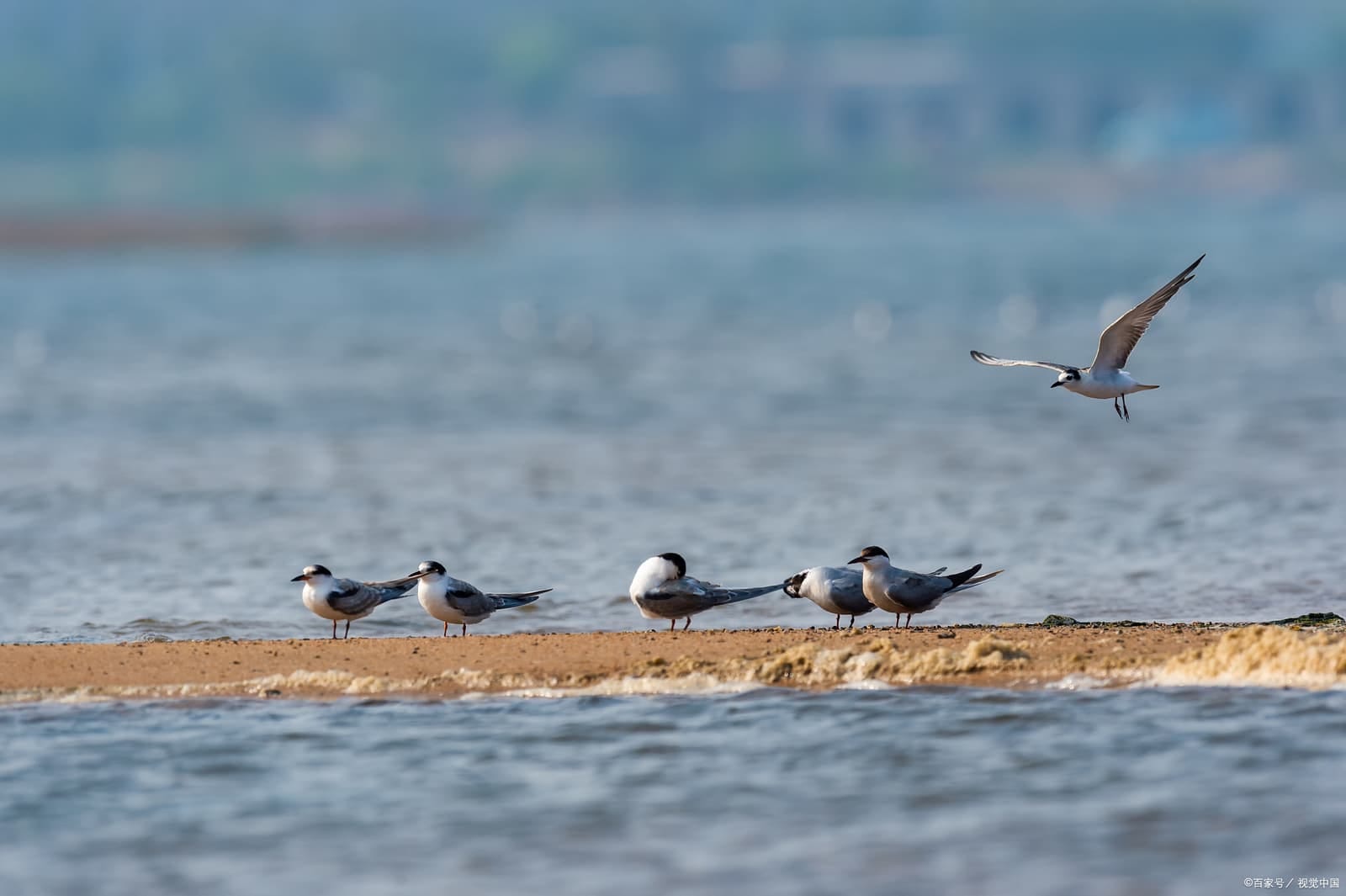 Stroll Black Dragon Pool