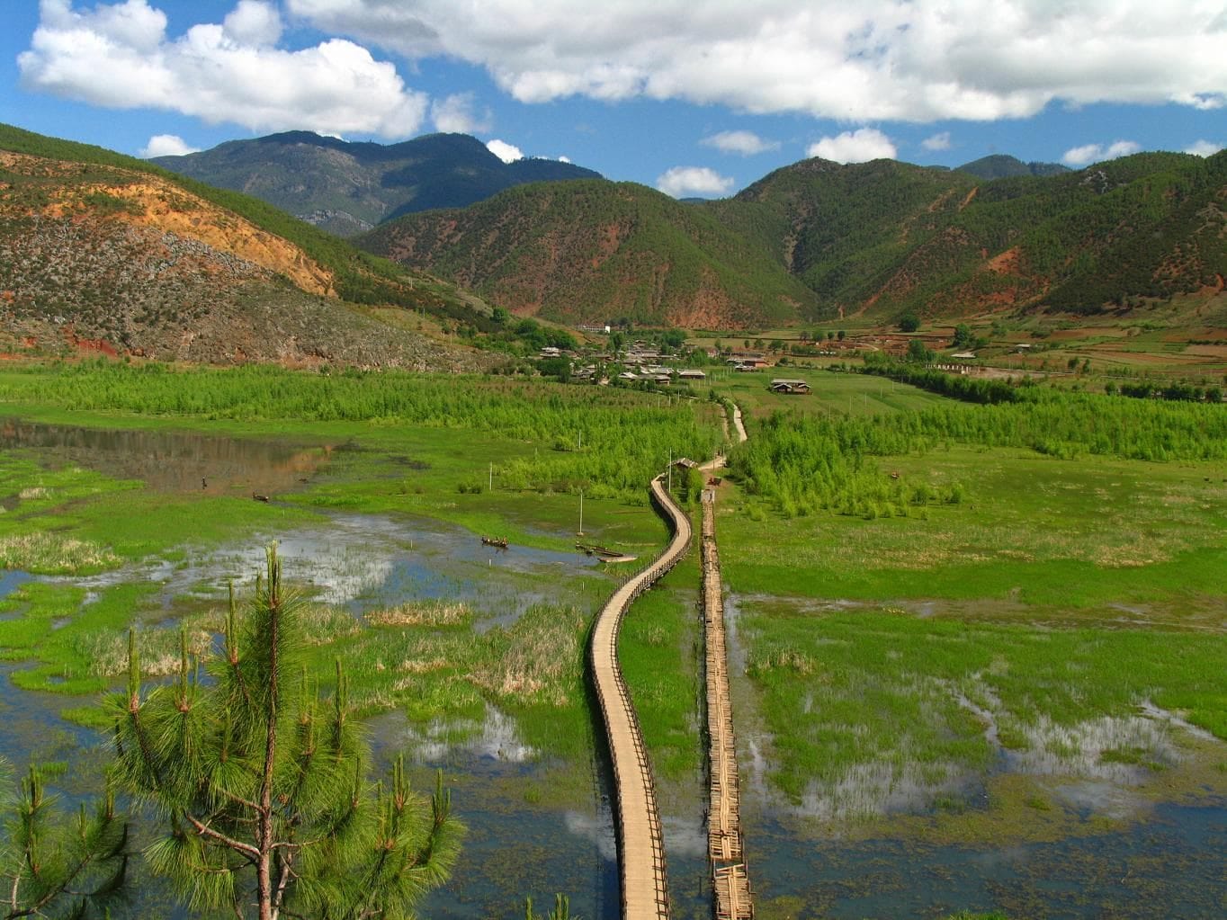 Taste the Tea Horse Road