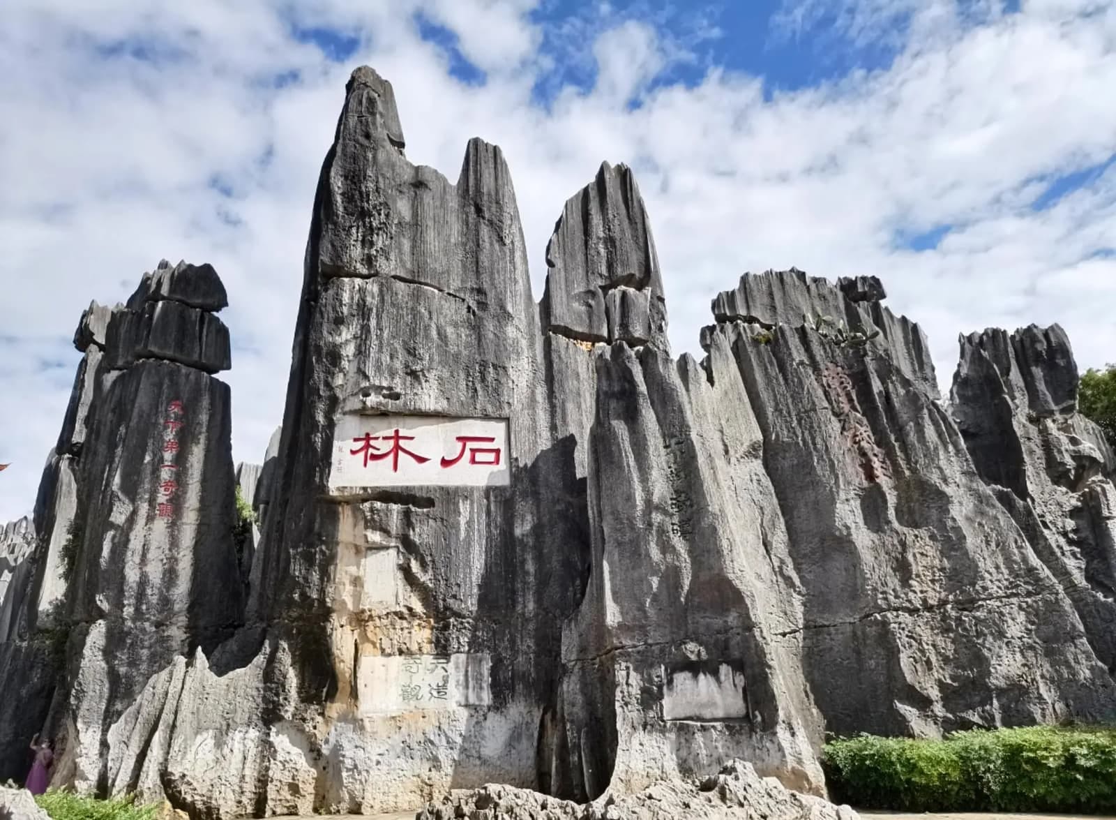 Explore the Stone Forest Maze