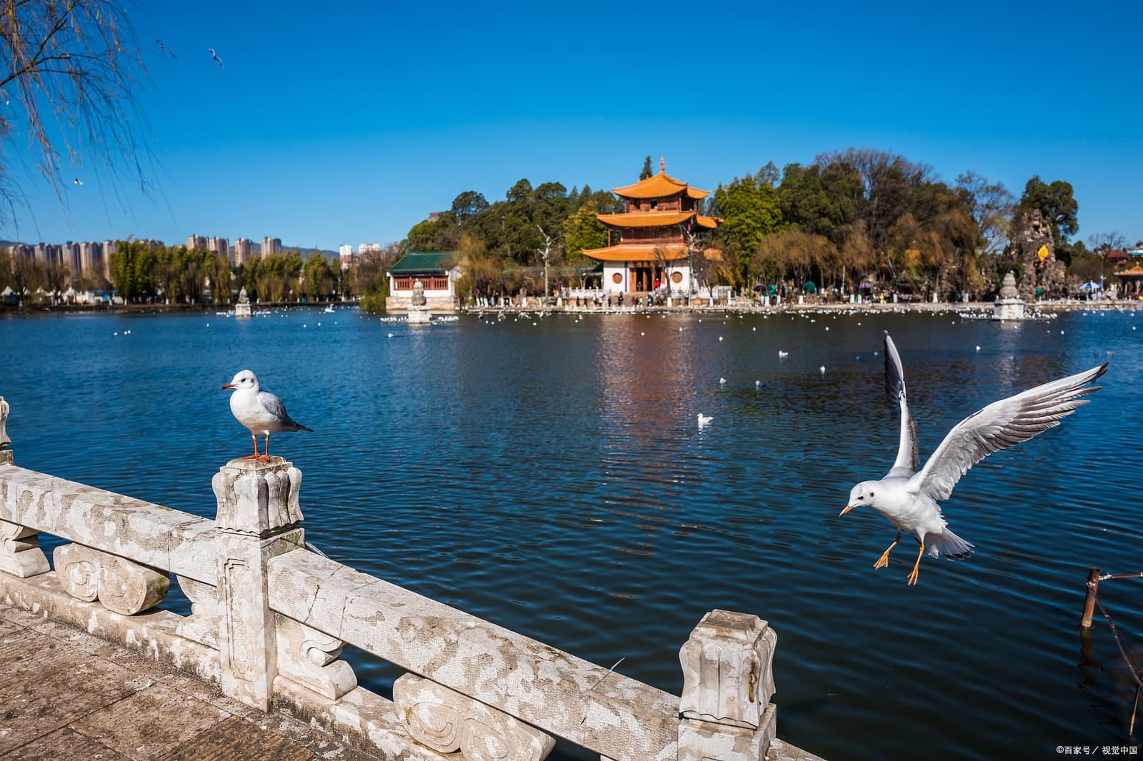 Stroll Around Cuihu Lake