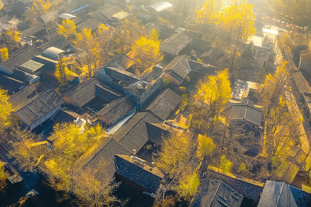 Visit the Ginkgo Village